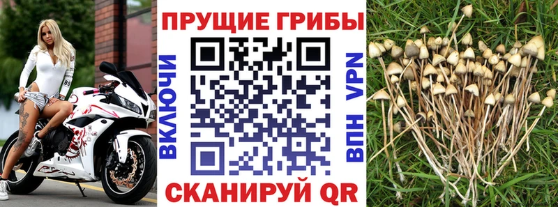 Галлюциногенные грибы мицелий  Макушино 